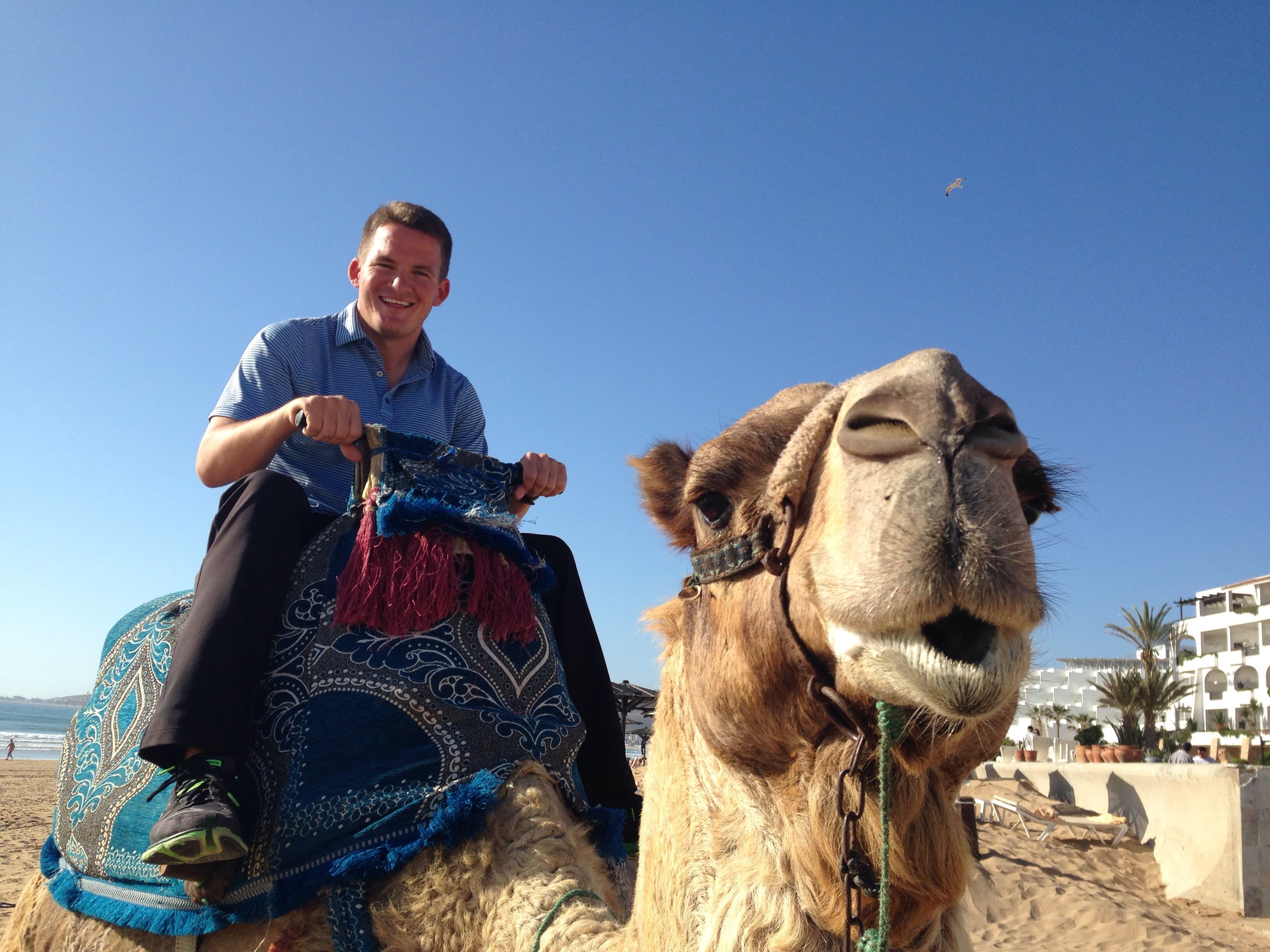 John Hahn profile image