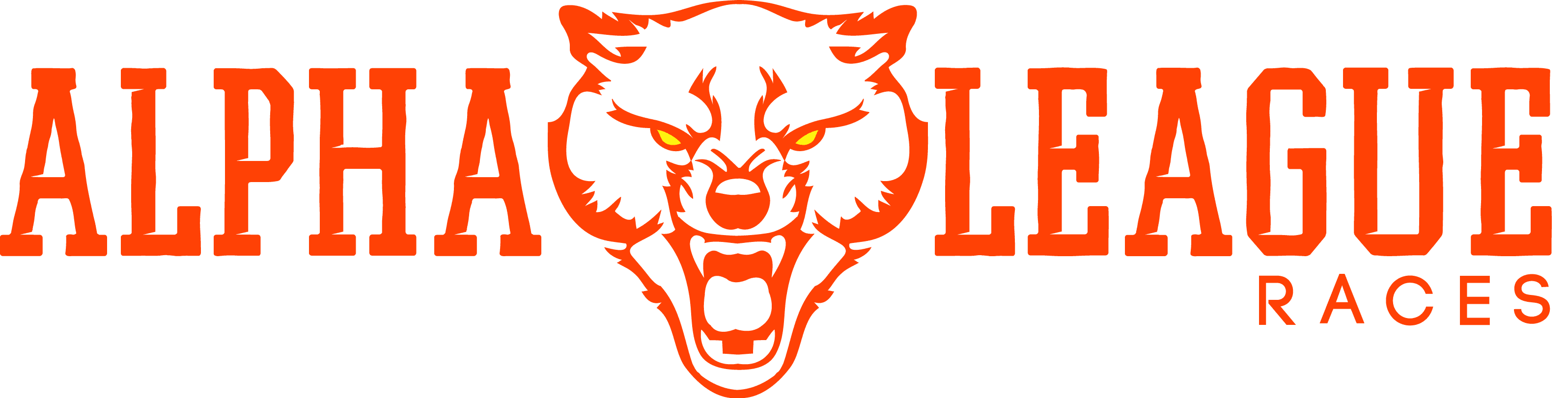 Ninety Nine Steps Sports &amp; Entertainment Pvt. Ltd. profile photo