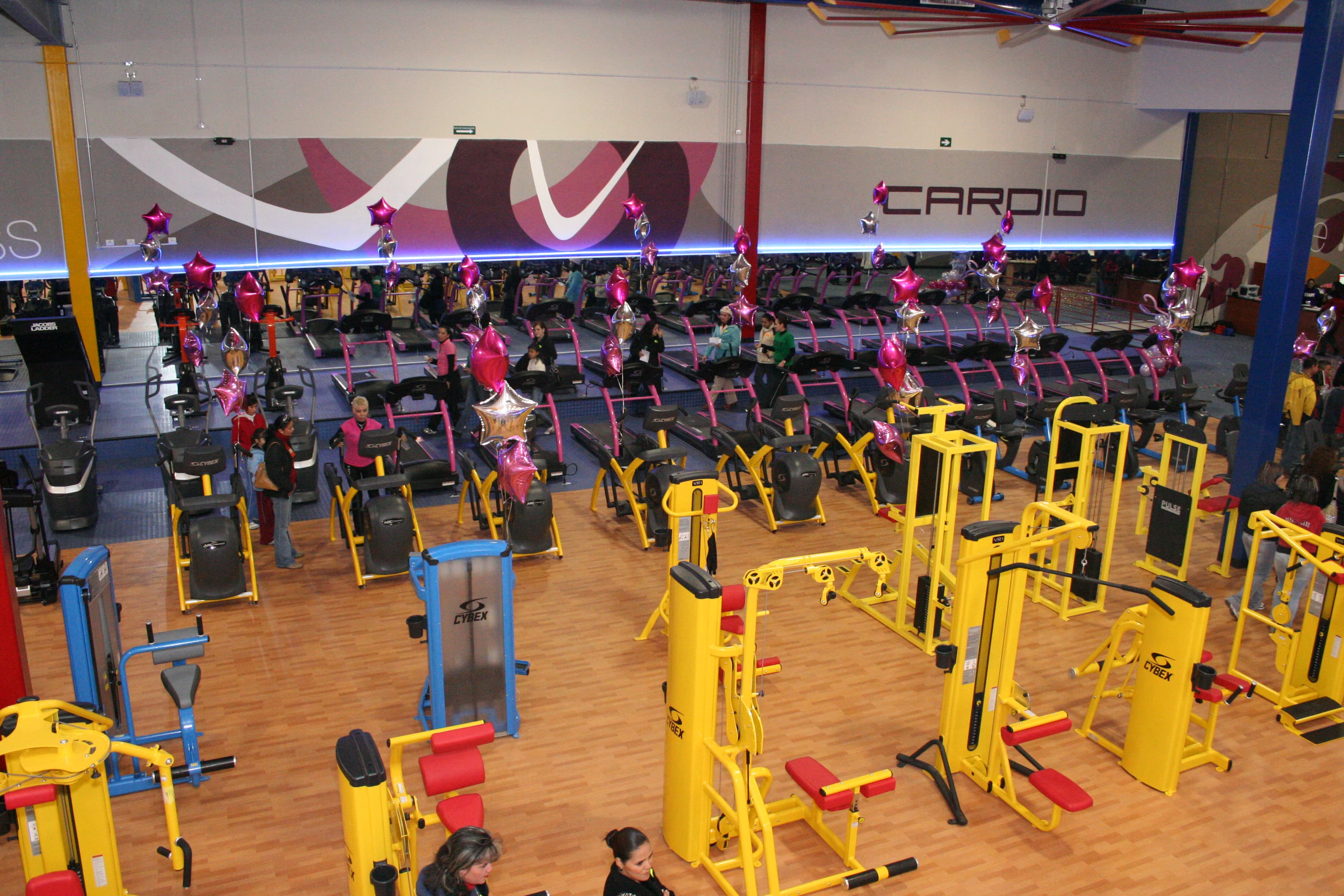 Super Fitness Gym Chain profile photo