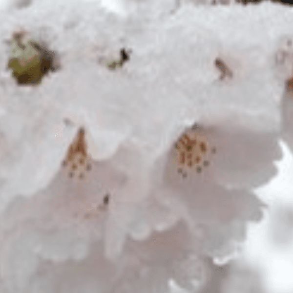 m4 3576 profile image