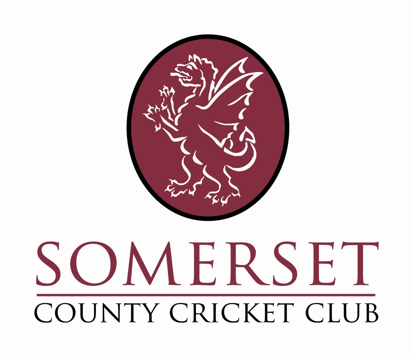Somerset County Cricket Club profile image
