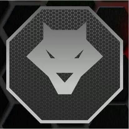 LIONS CAGE FIGHT COMBAT profile photo