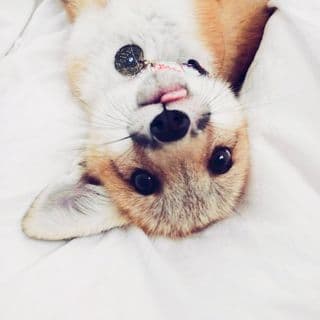 Juniper Wildlife Reserve profile photo