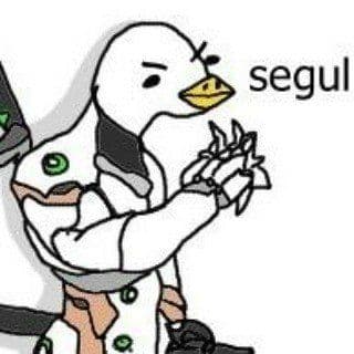Seagull profile image