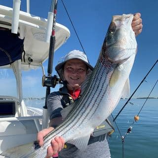 J. Kenji López-Alt profile image