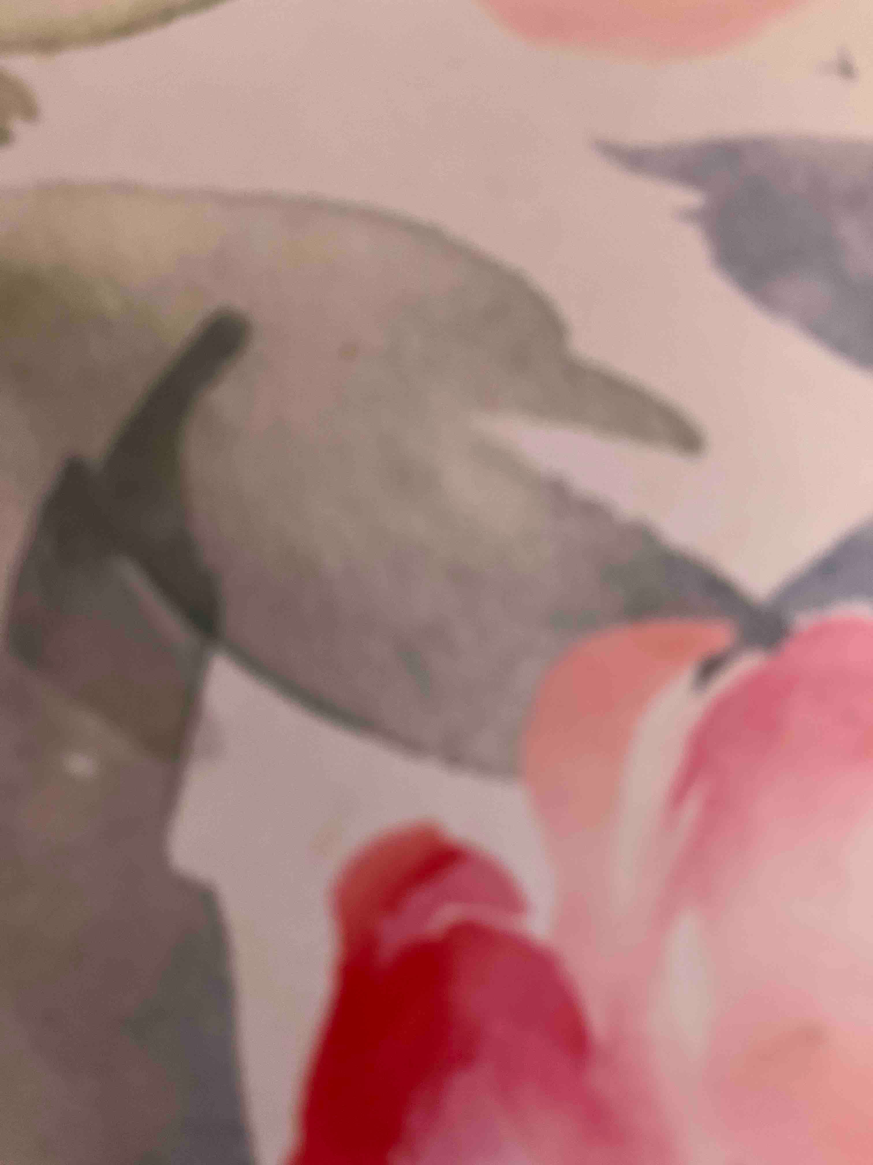 Mobile Phone profile image