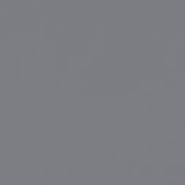 asf sdb profile photo