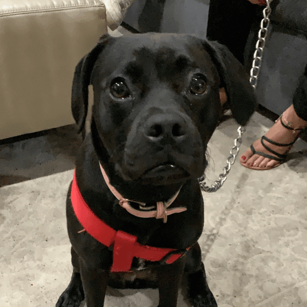 Buzz Killington profile photo