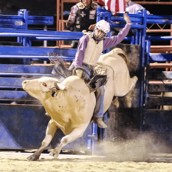 Tyler Bunton profile photo