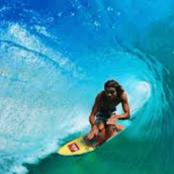 Craig Anderson profile photo