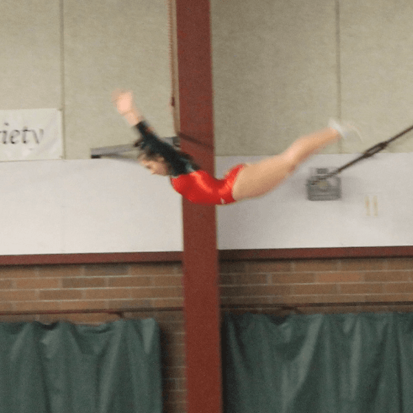 Ally Wyllie profile photo