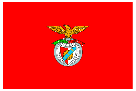 SL Benfica profile photo