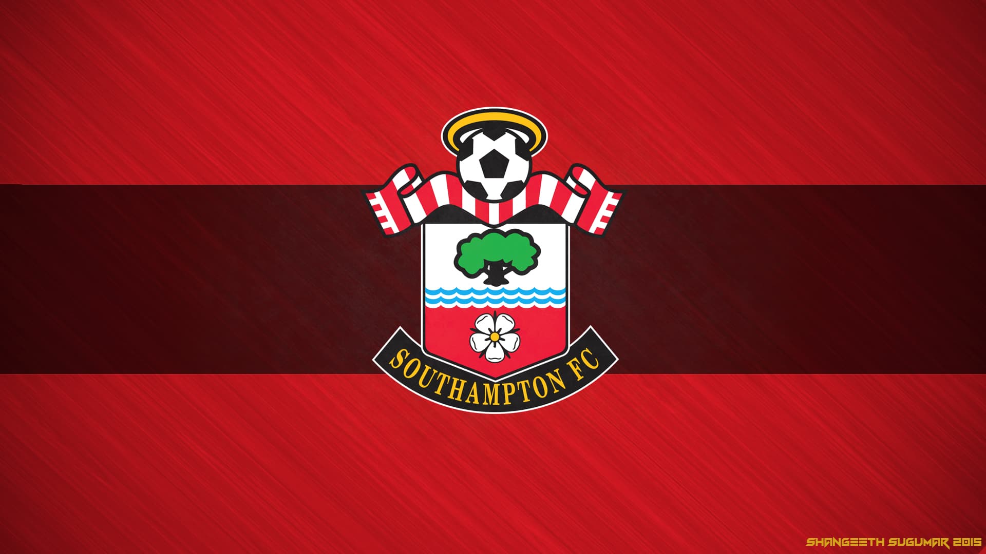 Southampton Football Club profile image