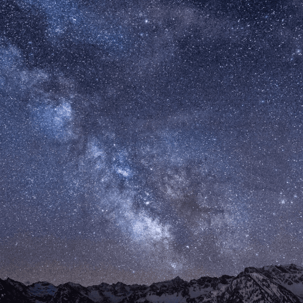 Ike Holzmann profile photo