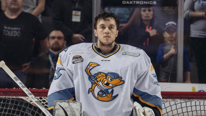 Neil Conway profile image