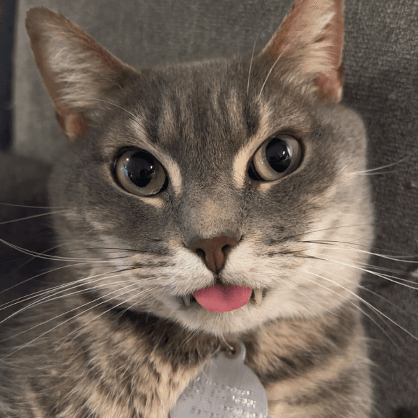 Lea Wai profile photo