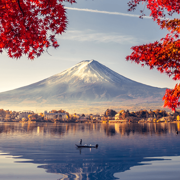 amna Ath1 profile image