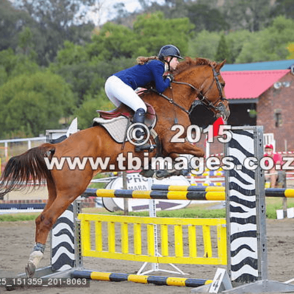 Erin Da Silva profile photo