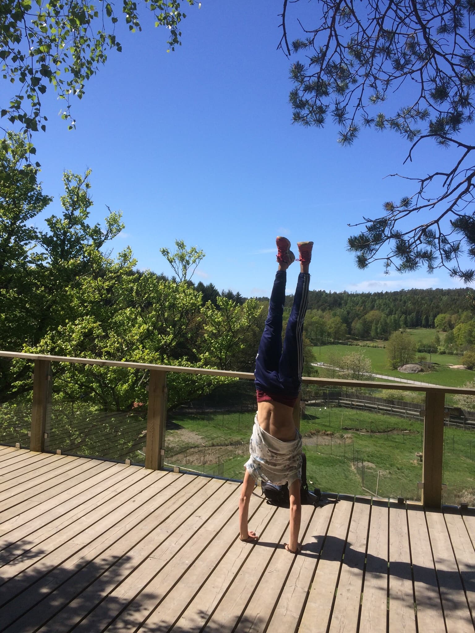 Max Landehag Eklund profile photo