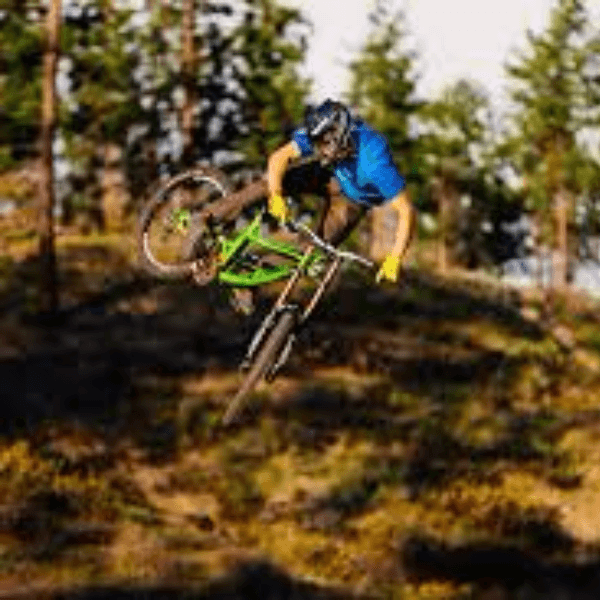 Bas Van SteenBergen profile image