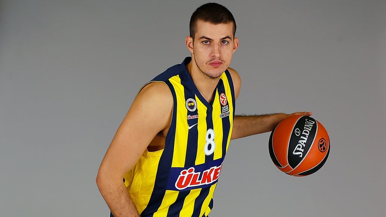 Nemanja Bjelica profile image