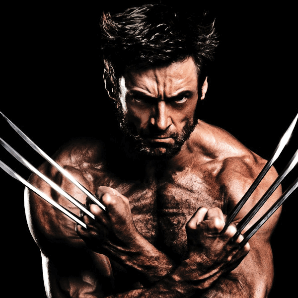 Logan Wolverine profile image